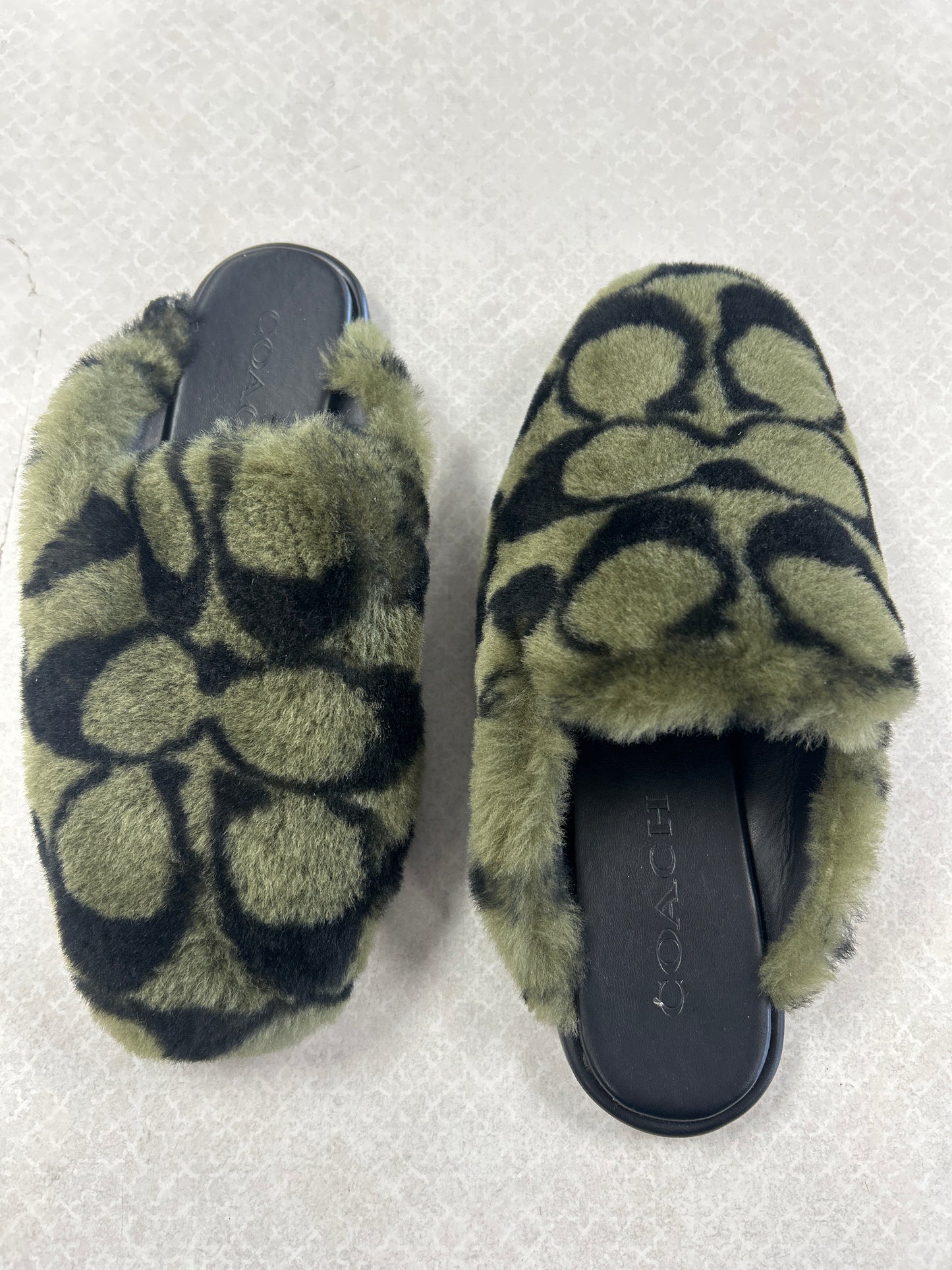 Shoes Designer By Coach In Black & Green, Size:5