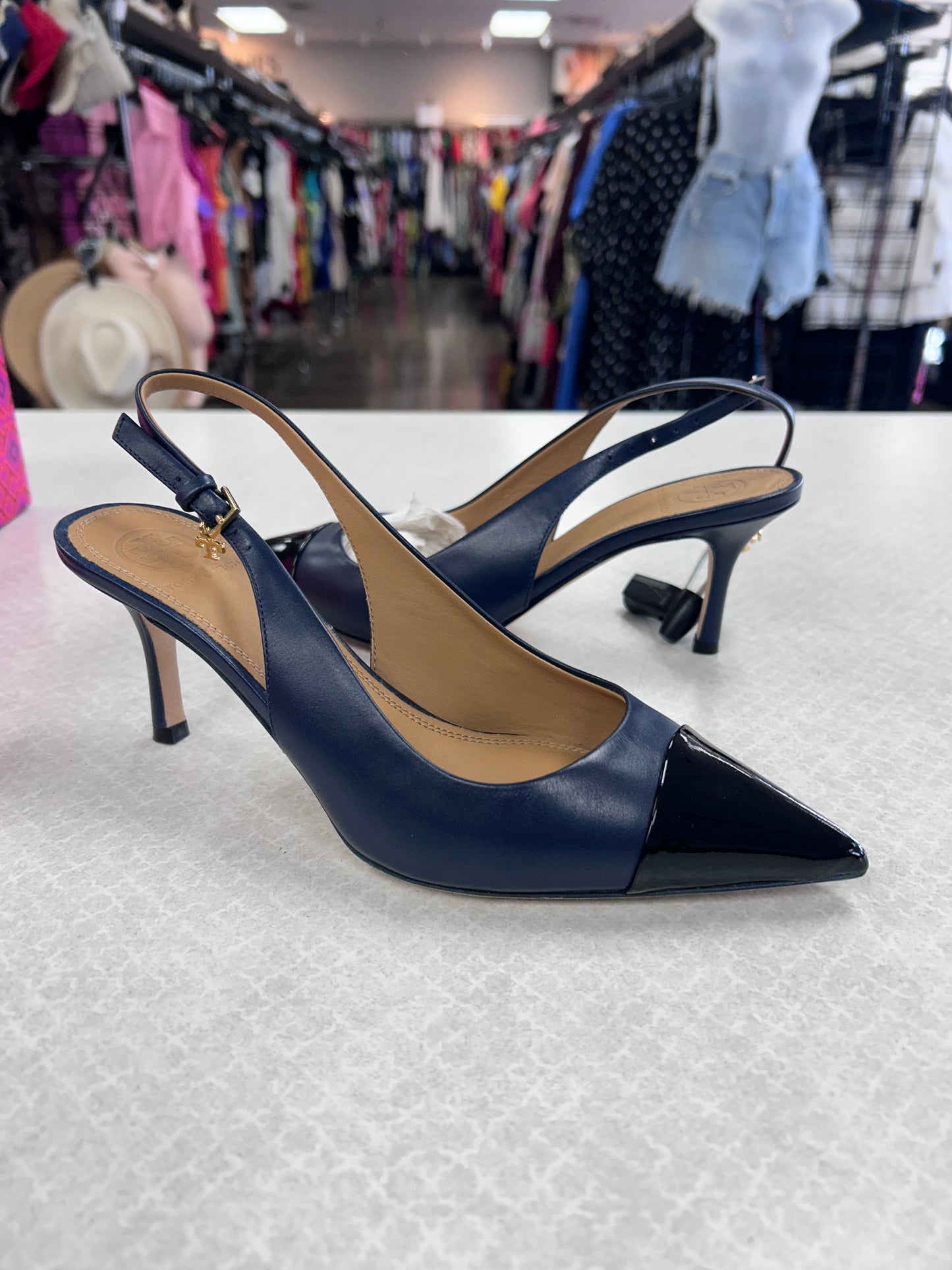 Shoes Designer By Tory Burch In Black & Blue, Size:6