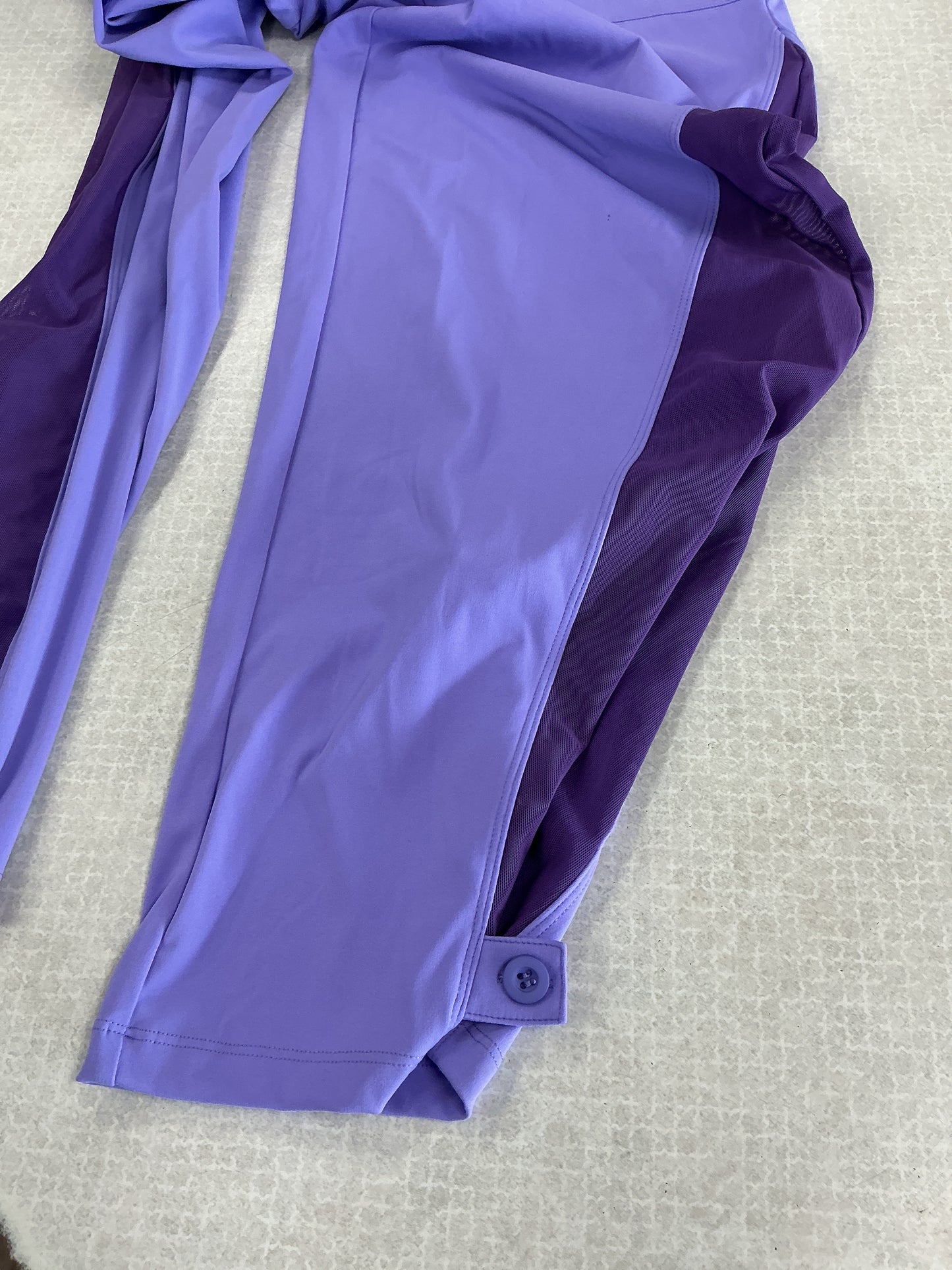 Athletic Pants By Clothes Mentor In Purple, Size:2X