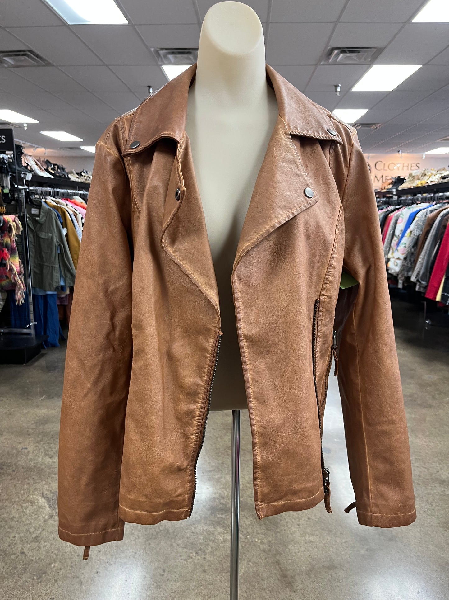 Jacket Moto By Max Studio In Brown, Size:L