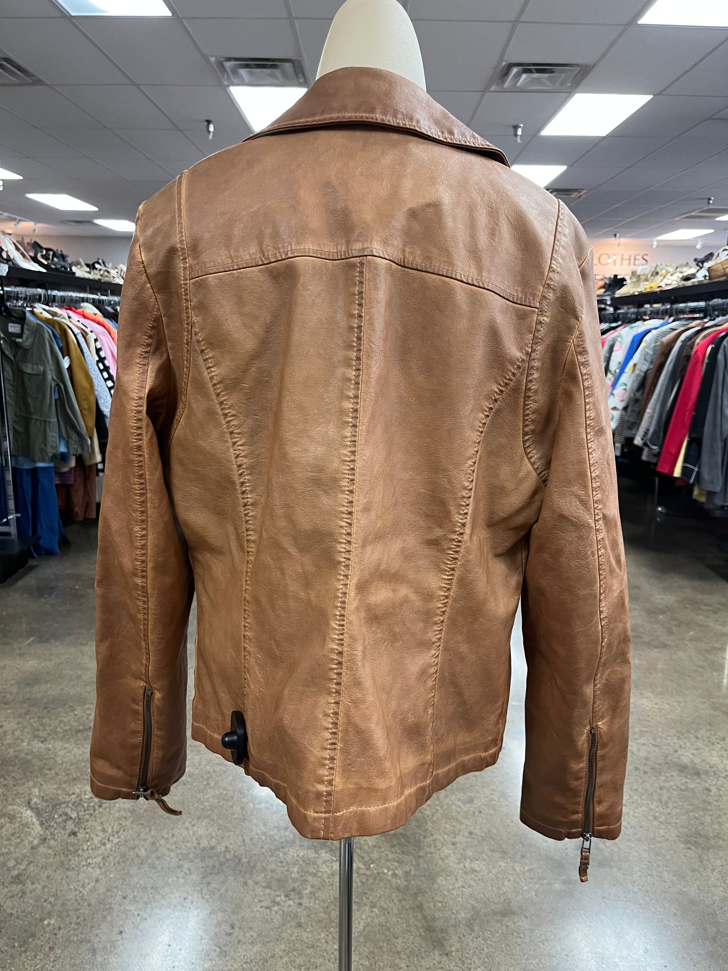 Jacket Moto By Max Studio In Brown, Size:L