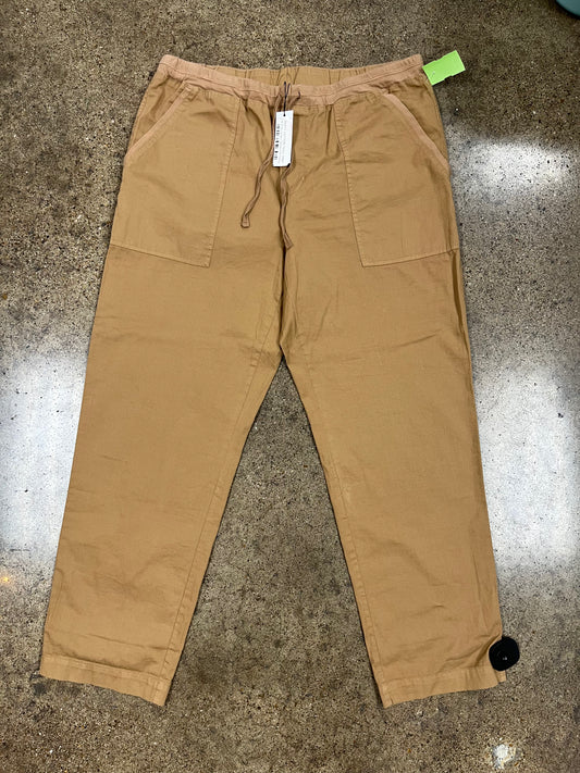 Pants Other By Velvet By Graham & Spencer In Brown, Size:L